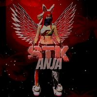 stk.anja