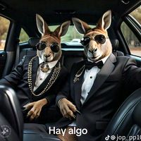 charly.chaman