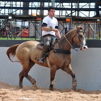 rodrigo_leao_filho07