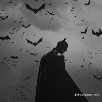 batman505.1