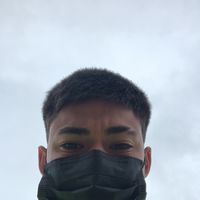 cesvr.j