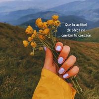 www.tiktok.comvideos200