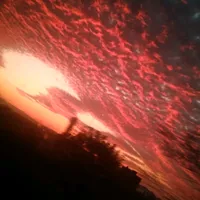 original sound - cintiafernandes208