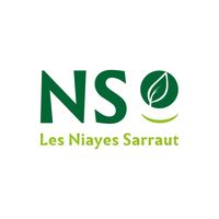 lesniayessarraut