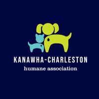 adoptcharleston