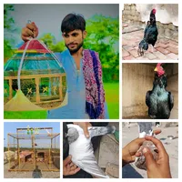 original sound - shoq__shikar
