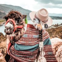comerviajarybailar
