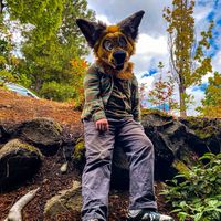 rustedoutmutt