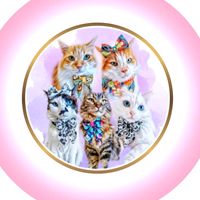 5gatosfelizes