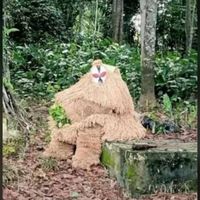 Un mauvais bangado est mort