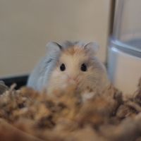 คนดีไม่มีวันตาย