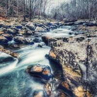 virginiaisforhikers