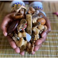 doctor_nkwali_yenkosi