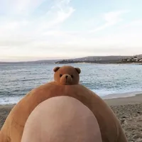 original sound - bear_obear