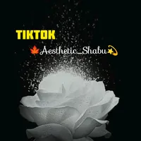 original sound - aesthetic_shabu