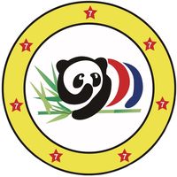 chinapandalights.a