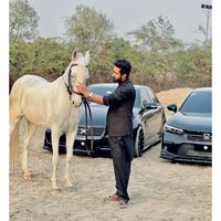 malik.e60