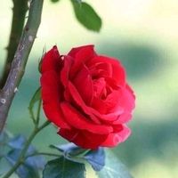 margarita.herrera113