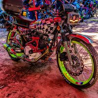 cardozocelso06