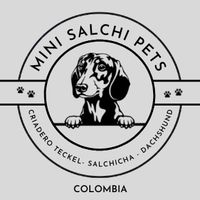 mini_salchi_pets