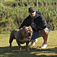 original sound - leonardohfp