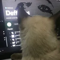 original sound - qert1kx