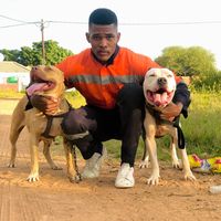 iconic_breeds_bw