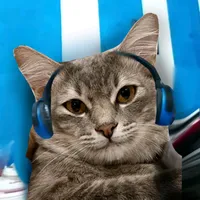 original sound - nverrl0v