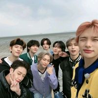 videos_de_skz