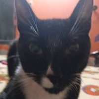 por qué esto se hizo viral xD