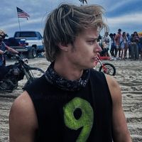 whyevb2fake_33