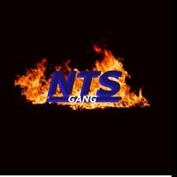 ntsgeng