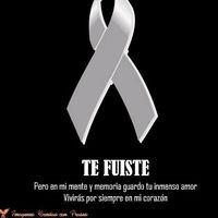 paito382