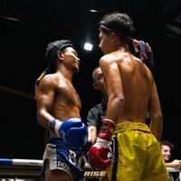 оригинальный звук