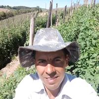 original sound - paulopereofc