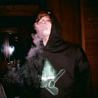 тонка шайни