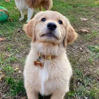 original sound - zack__leo