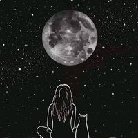 sofia_23t