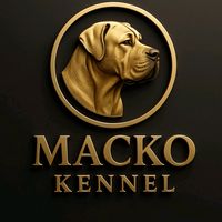 mackovolkodav