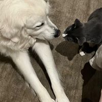 stacylovesteddyandtopher