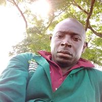 tiktok.combucofacoluswat