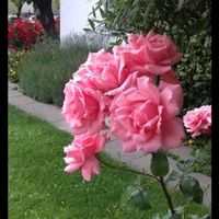 inspiracoesdaalma