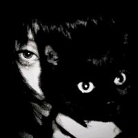 zxccat363