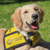 guidedogsofamerica