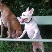 original sound - bylibo