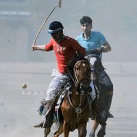 free.style.polo4