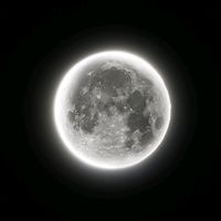 moonlit836