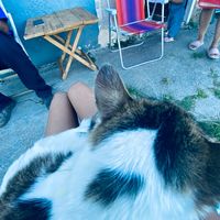 lucia_19039