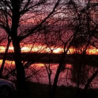 оригінальний звук