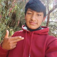 gonzaloramirezayarachi